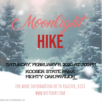 Moonlight Hike
